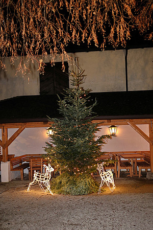 Anifer Krampuslauf