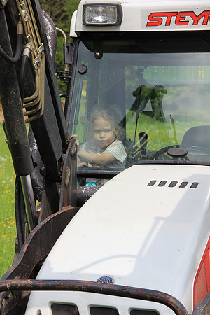 Maibaumfest in Golling