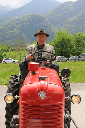 Maibaumfest in Golling
