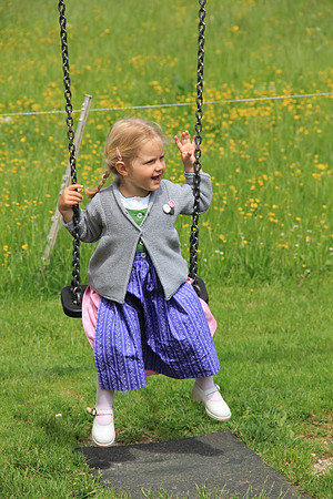 Maibaumfest in Golling