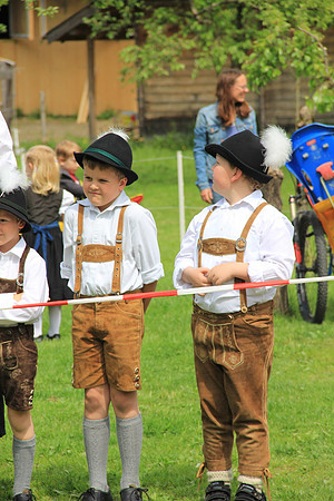 Maibaumfest in Golling