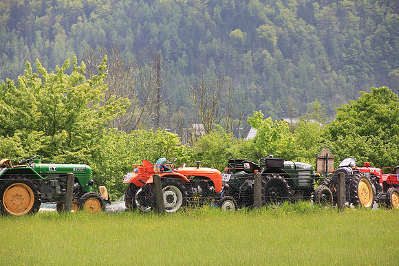 Maibaumfest in Golling