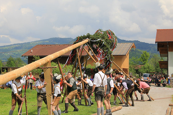 Maibaumfest in Golling