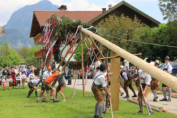 Maibaumfest in Golling