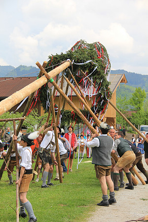 Maibaumfest in Golling