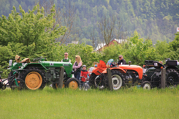 Maibaumfest in Golling