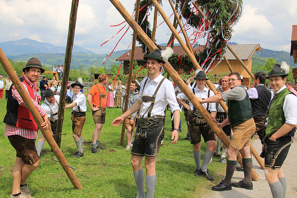 Maibaumfest in Golling