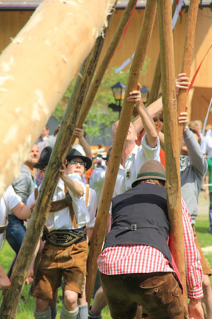 Maibaumfest in Golling