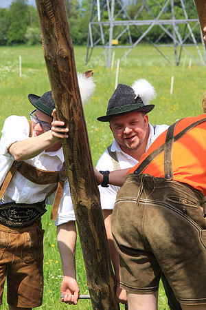 Maibaumfest in Golling