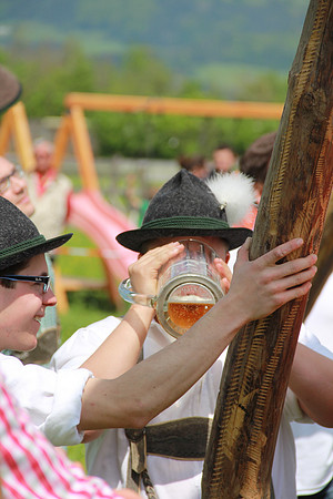 Maibaumfest in Golling