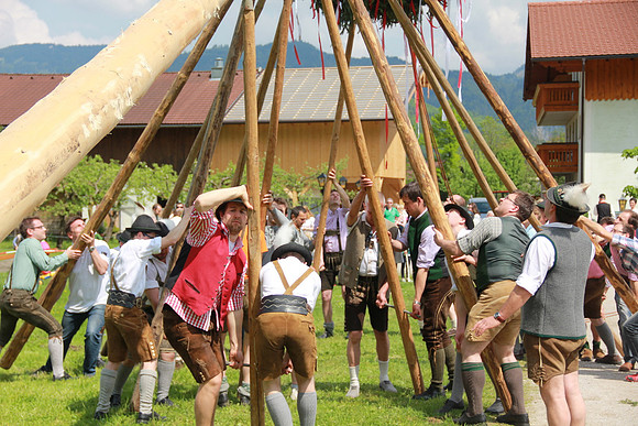 Maibaumfest in Golling