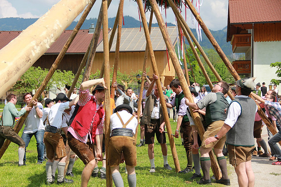 Maibaumfest in Golling