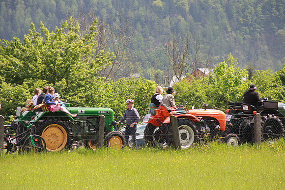 Maibaumfest in Golling