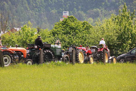 Maibaumfest in Golling