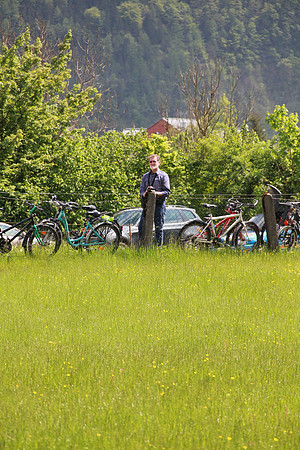Maibaumfest in Golling