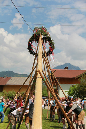 Maibaumfest in Golling