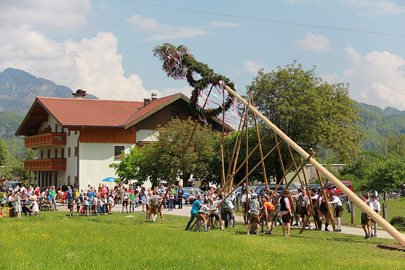 Maibaumfest in Golling