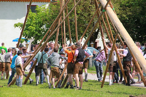 Maibaumfest in Golling