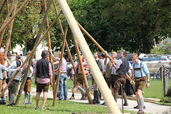 Maibaumfest in Golling