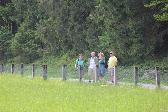 Maibaumfest in Golling
