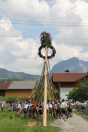 Maibaumfest in Golling
