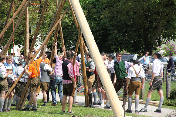 Maibaumfest in Golling