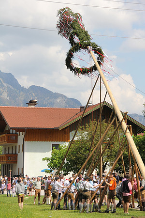 Maibaumfest in Golling