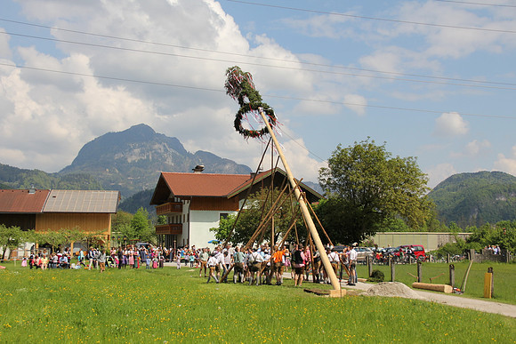 Maibaumfest in Golling