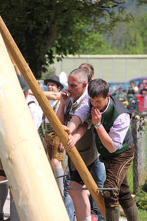 Maibaumfest in Golling