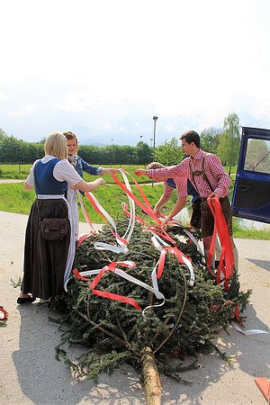 Maibaum am Kuchler Bürgerausee