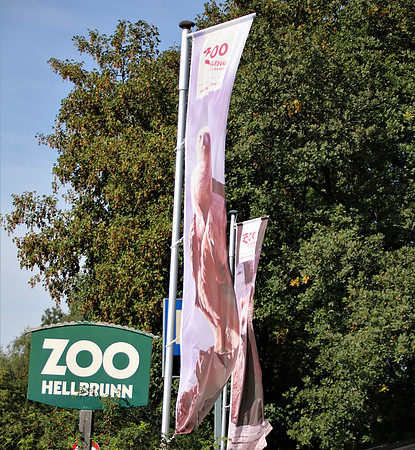 10-jährige Jubiläum des OZO-Artenschutztages
