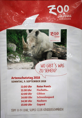 10-jährige Jubiläum des OZO-Artenschutztages
