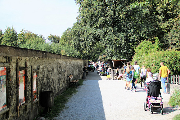 10-jährige Jubiläum des OZO-Artenschutztages