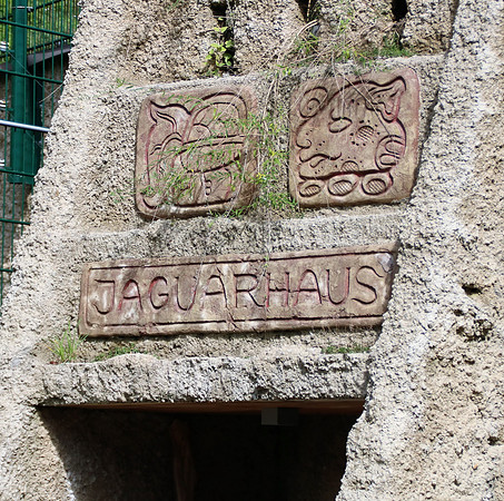 10-jährige Jubiläum des OZO-Artenschutztages