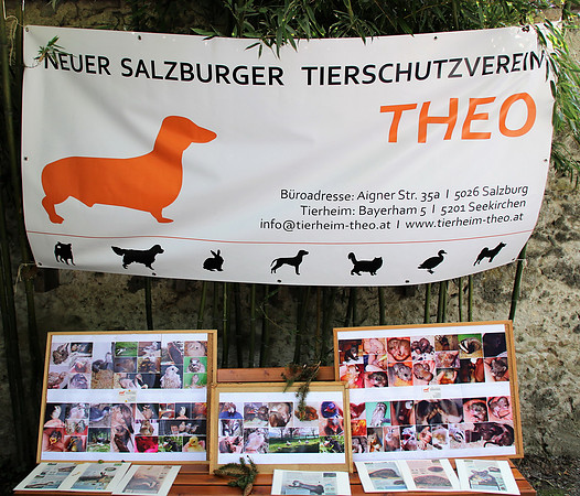 10-jährige Jubiläum des OZO-Artenschutztages