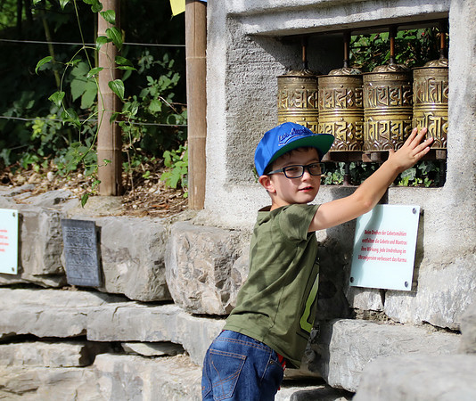 10-jährige Jubiläum des OZO-Artenschutztages