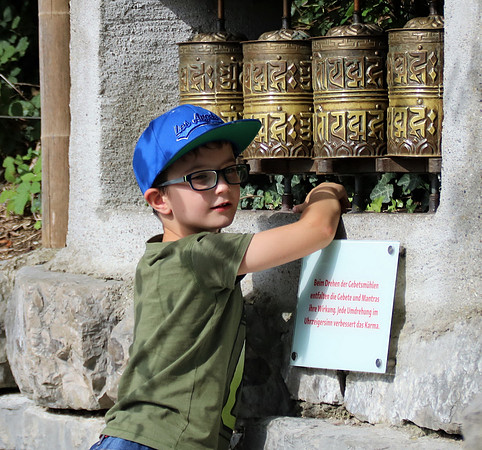 10-jährige Jubiläum des OZO-Artenschutztages