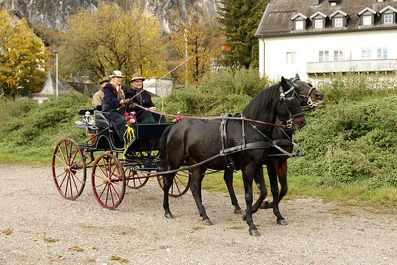Leonhardireiten und Fahren