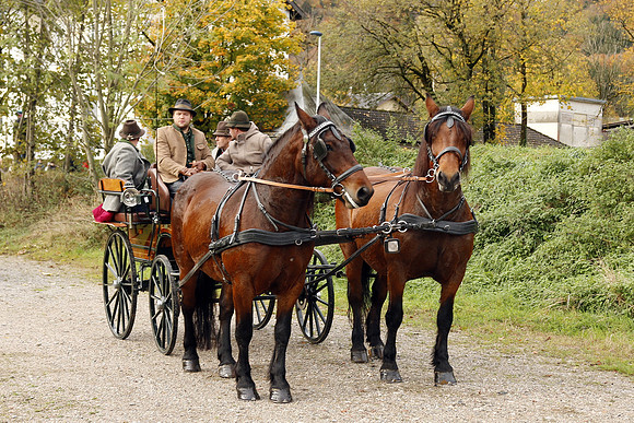 Leonhardireiten und Fahren