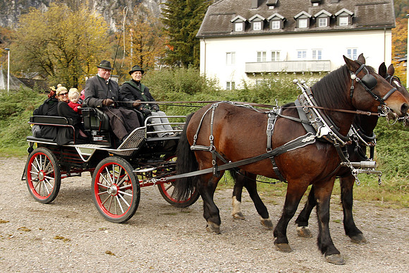 Leonhardireiten und Fahren
