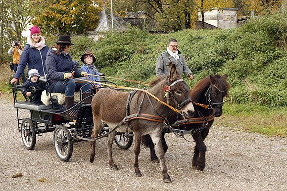Leonhardireiten und Fahren