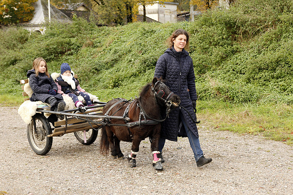 Leonhardireiten und Fahren