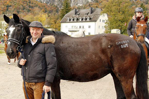 Leonhardireiten und Fahren