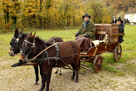Leonhardireiten und Fahren