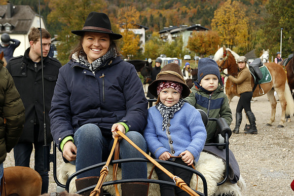 Leonhardireiten und Fahren