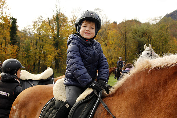 Leonhardireiten und Fahren