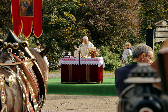 Leonhardireiten und Fahren