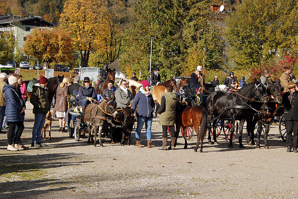 Leonhardireiten und Fahren