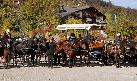 Leonhardireiten und Fahren