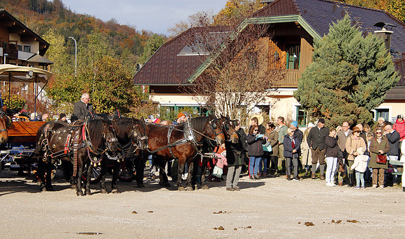Leonhardireiten und Fahren